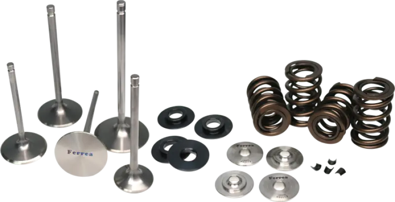 Ferrea Mitsubishi Evo X 4B11t Dual Spring Kit 1