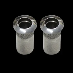Upr Door Pin Bezels - Polished 1