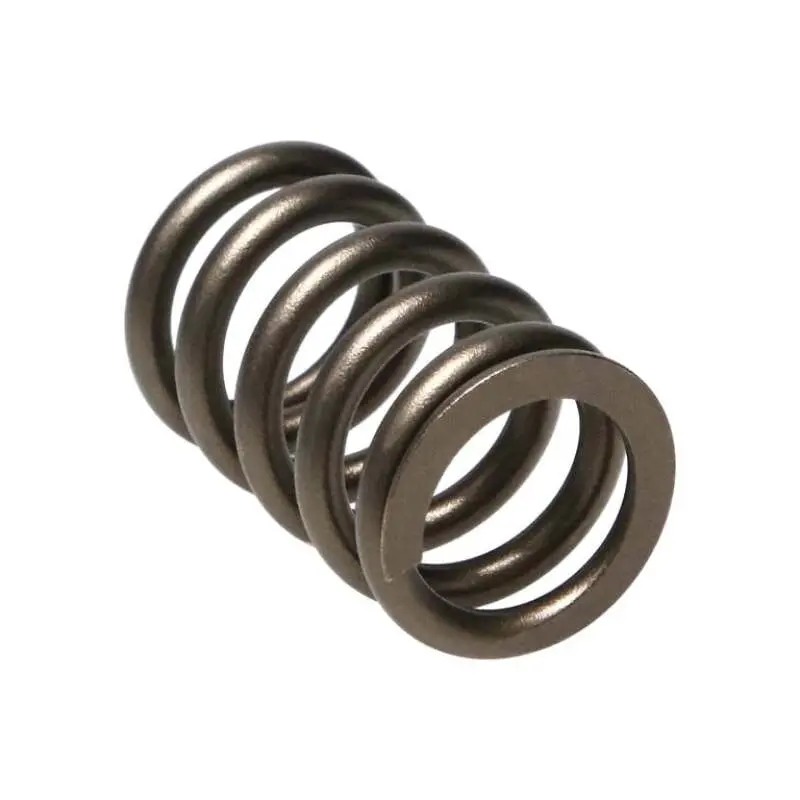 Manley Valve Spring, Spring-Nissan Patrol Tb48 1