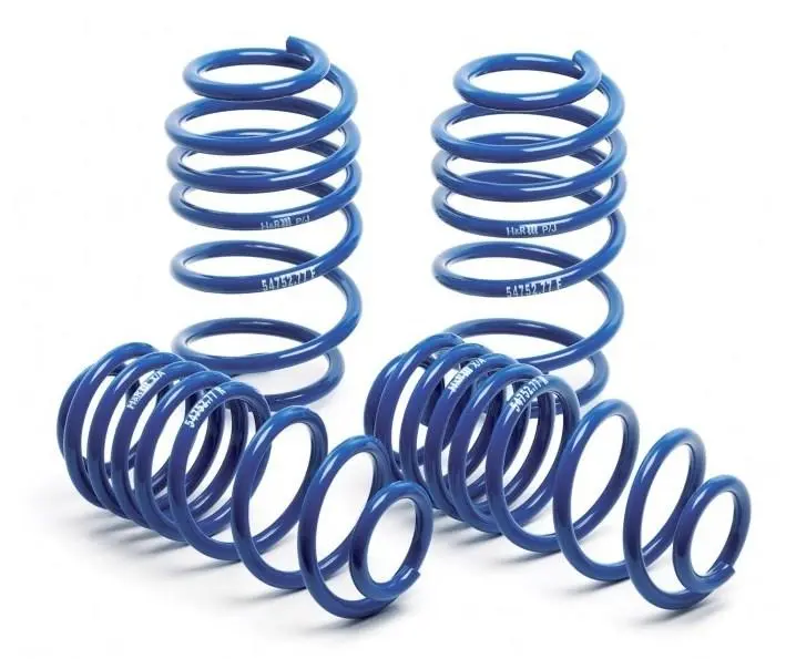 H&R 07-10 Ford Gt500/Gt500 Convertible V8 Super Sport Spring 1