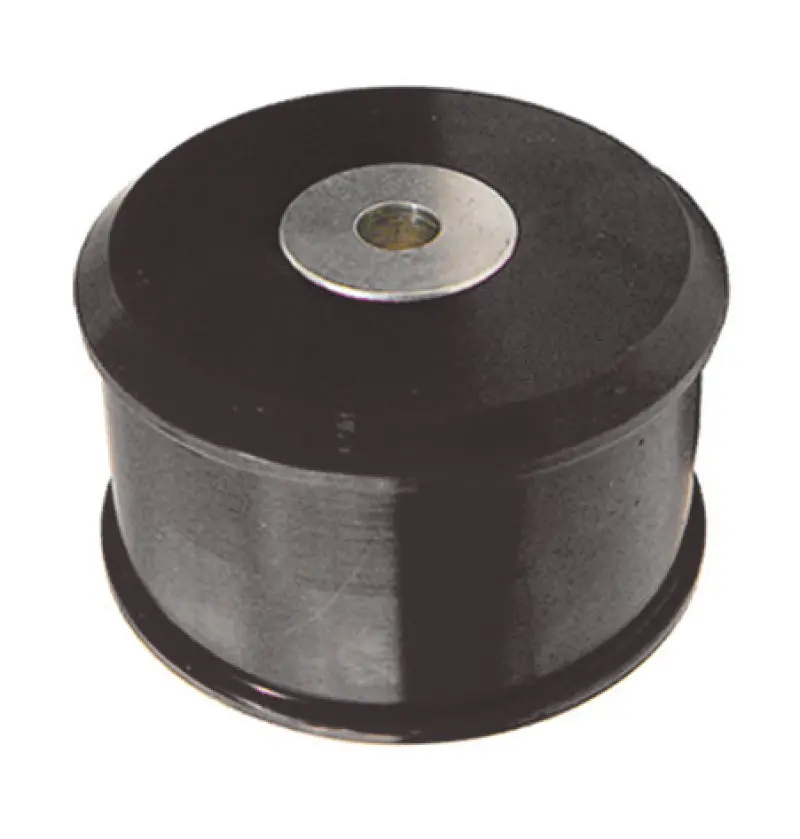 Prothane 02-06 Nissan Sentra Se-R Front Motor Mount Insert - Black 1