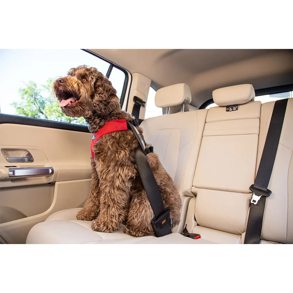 Clickit Sport Plus (Includes Harness, S-Clip And Buckle Shield) 1