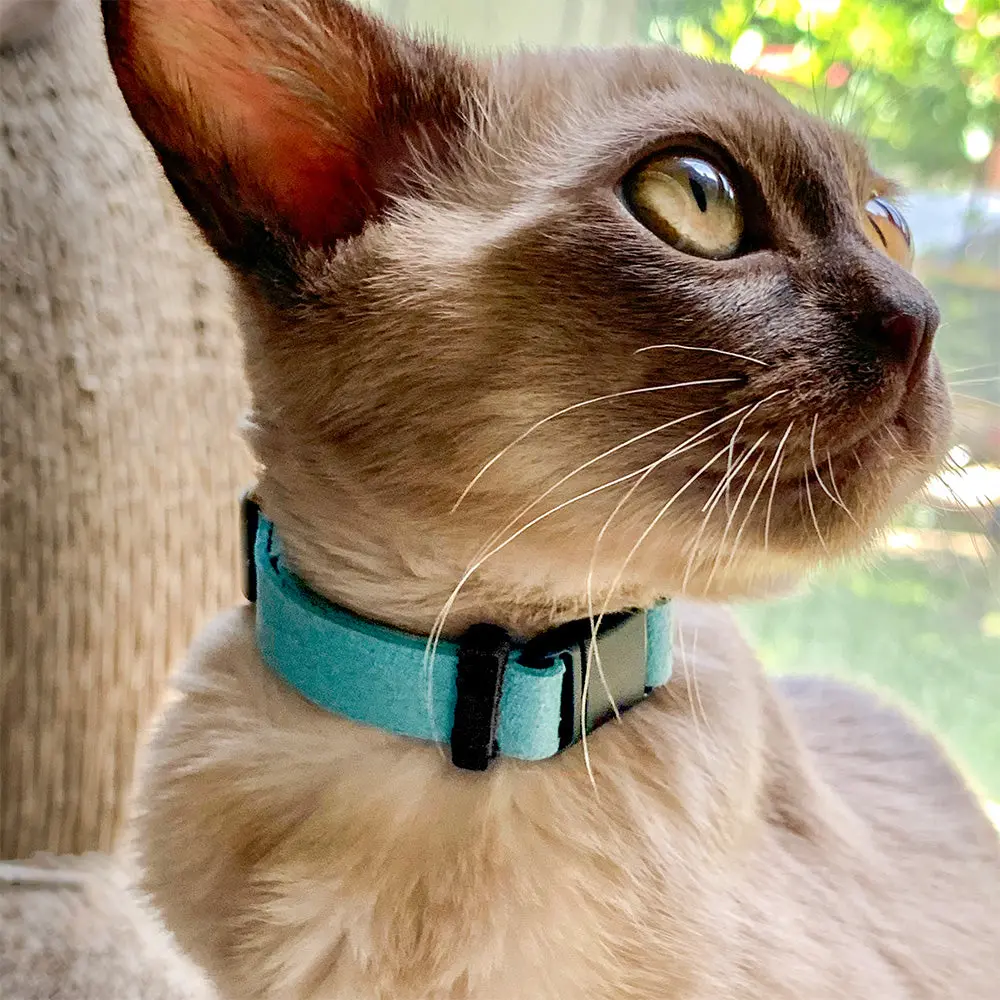 Comfort Suede Breakaway Collar For Cats 1