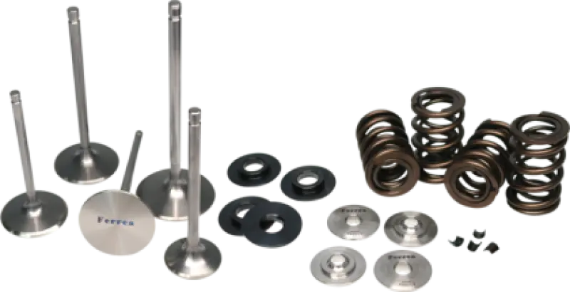 Ferrea 2014 Polaris Rzr Xp 1000 Valve Spring Kit 1