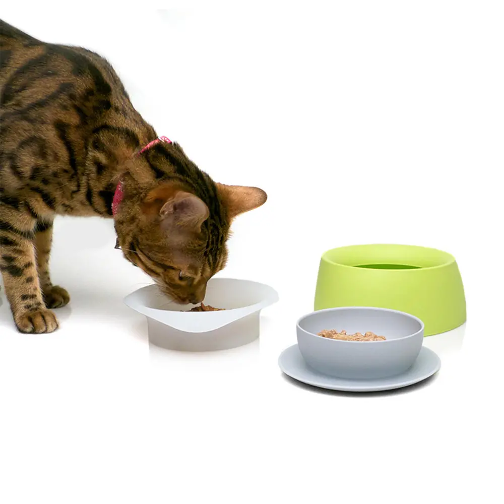 Yummy Travel Bowls 1